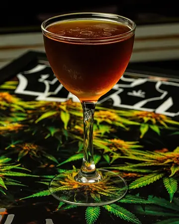 Rabo de Galo